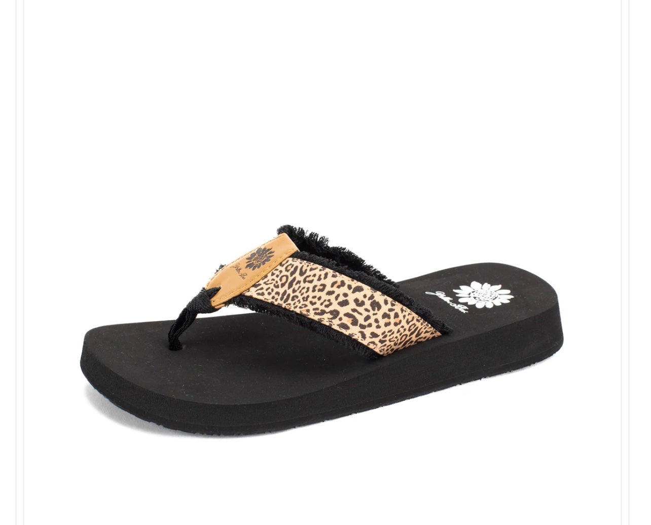 Focus Flip Flops in Leopard by YellowBox
