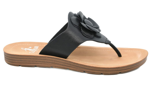 So Delish Black Sandal by Corkys