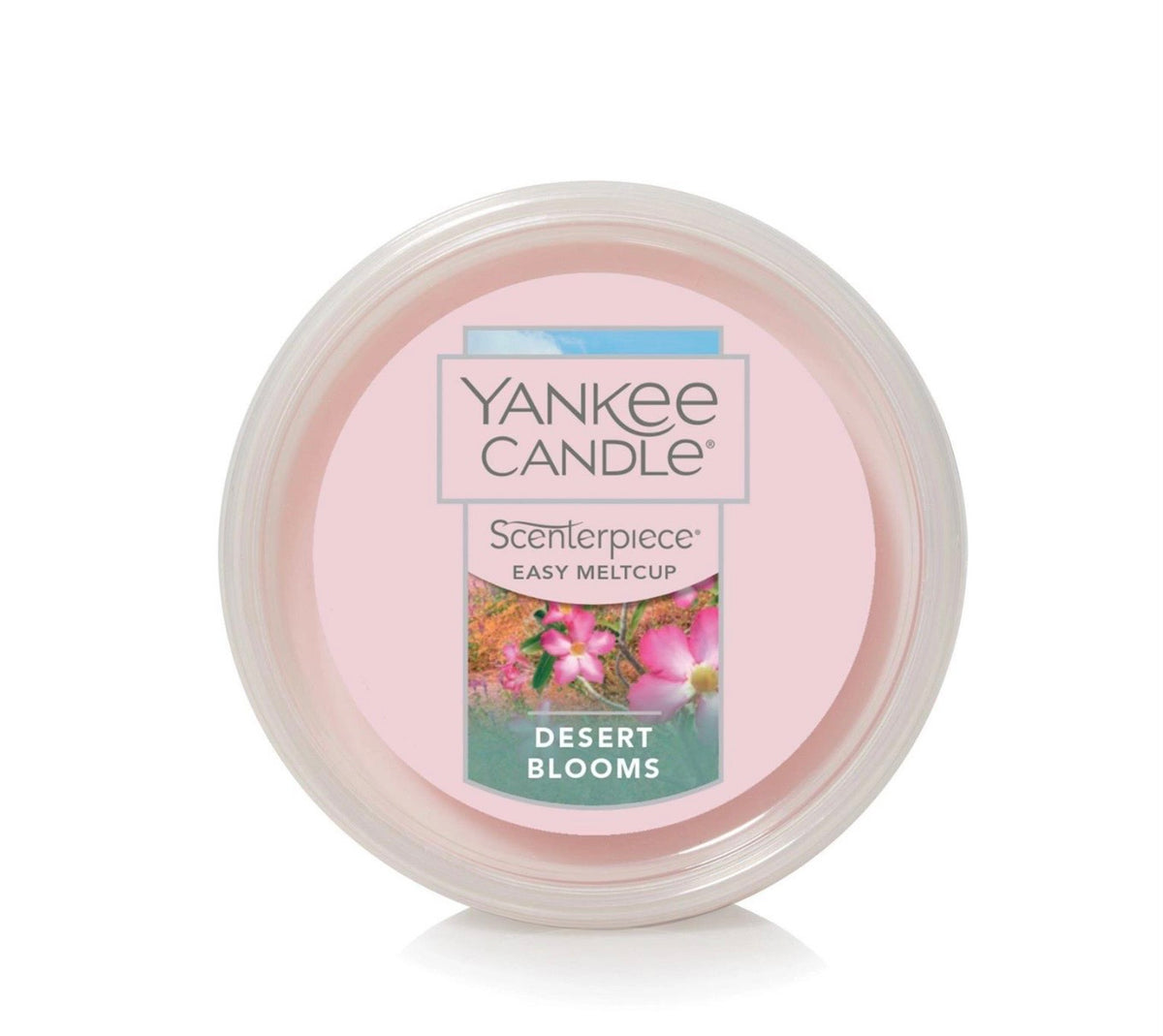MeltCup Desert Blooms by Yankee Candle