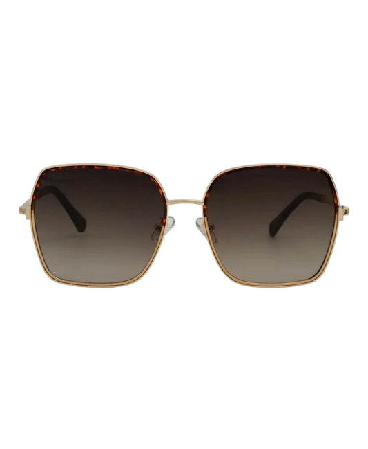 Aspen Brown- Women's Oversized Square Frame Sunglasses by DAX Eyewear